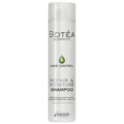 SHAMPOING BOTEA CHEVEUX SECS 250ML