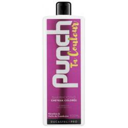 SHAMPOING PUNCH TA COULEUR 500ML