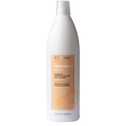 Shampoing agrumes oyster 1L