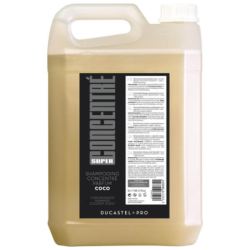 SHAMPOING COCO DUCASTEL 5L